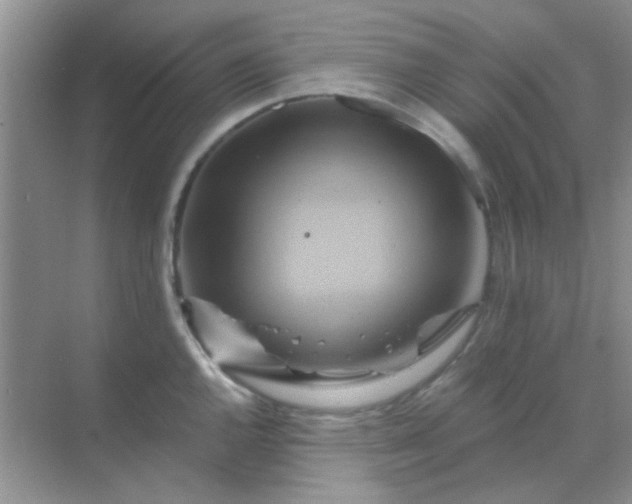 X0000068861144200605192010