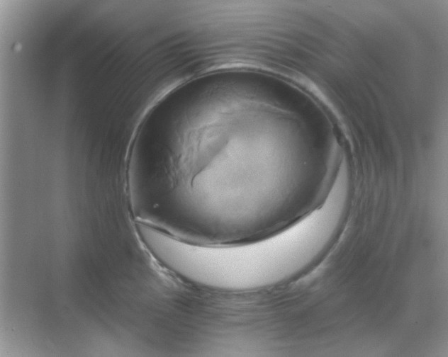 X0000068861145200605192010