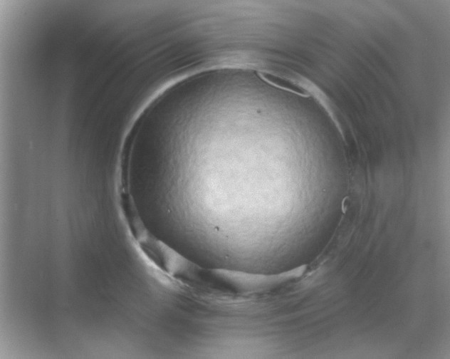 X0000068861147200605192010