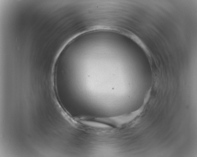 X0000068861148200605192010