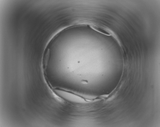 X0000068861149200605192010