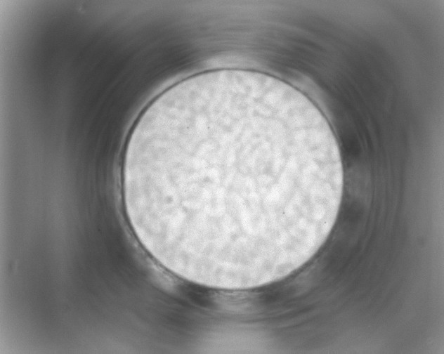 X0000068861150200605192010