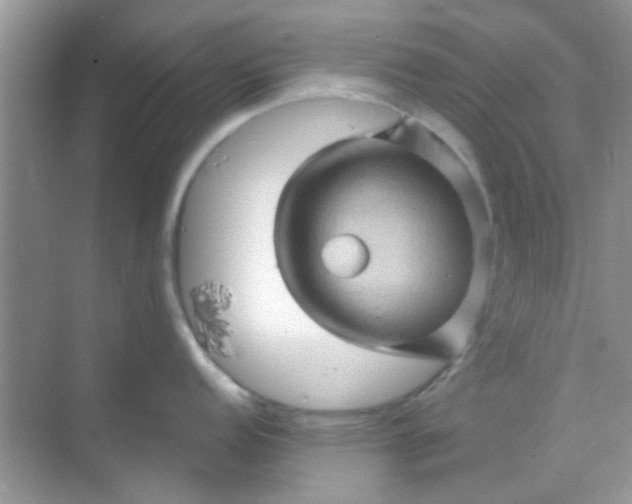 X0000068861152200605192011