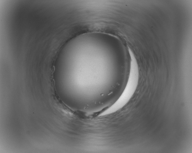 X0000068861153200605192010