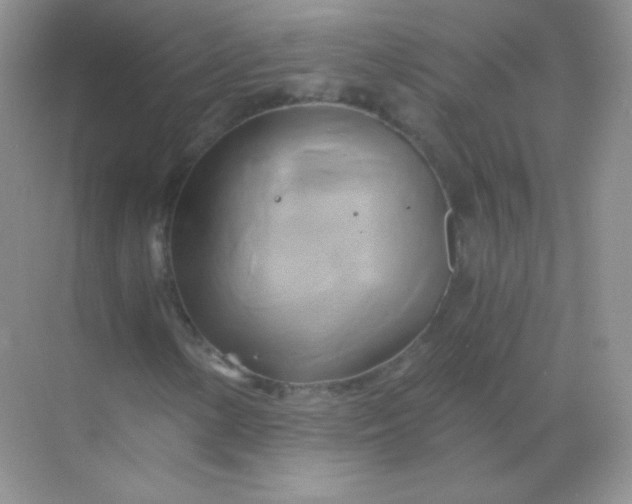 X0000068861154200605192010