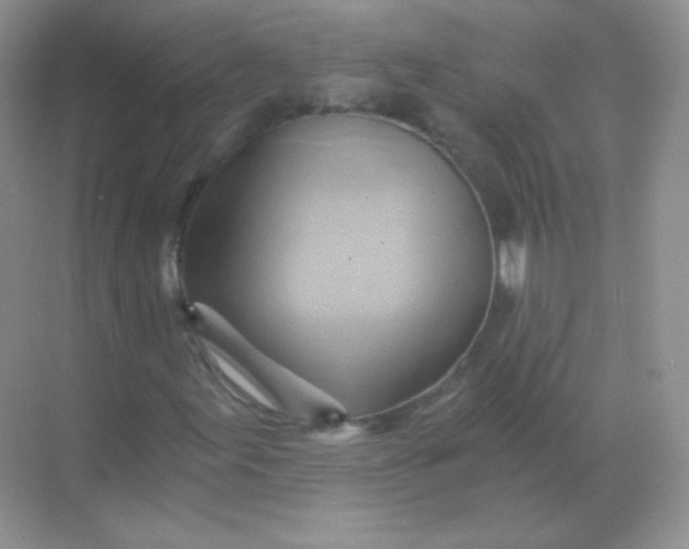 X0000068861155200605192010