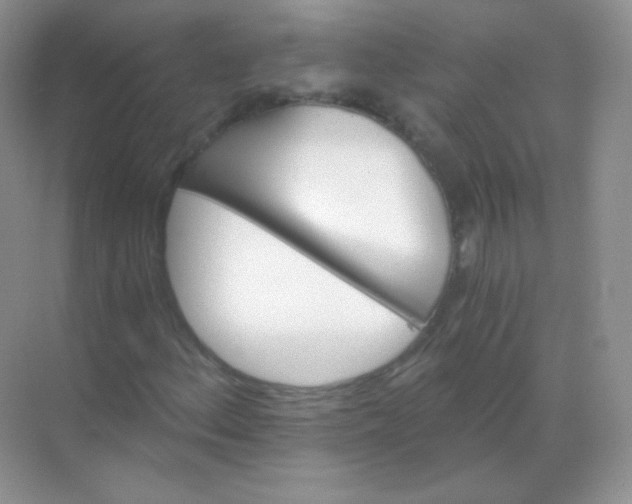 X0000068861156200605192010