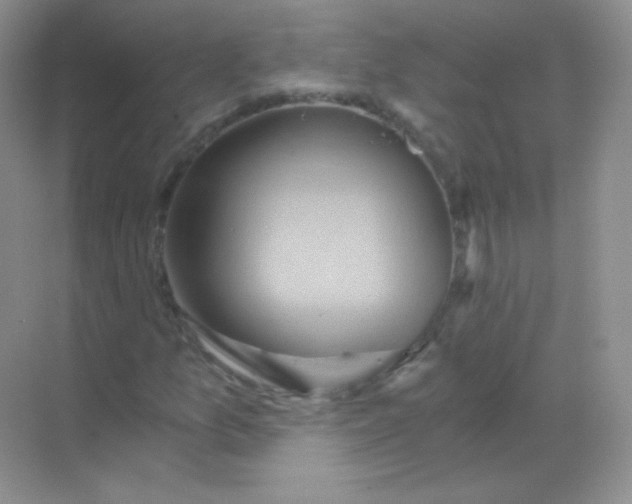 X0000068861157200605192010