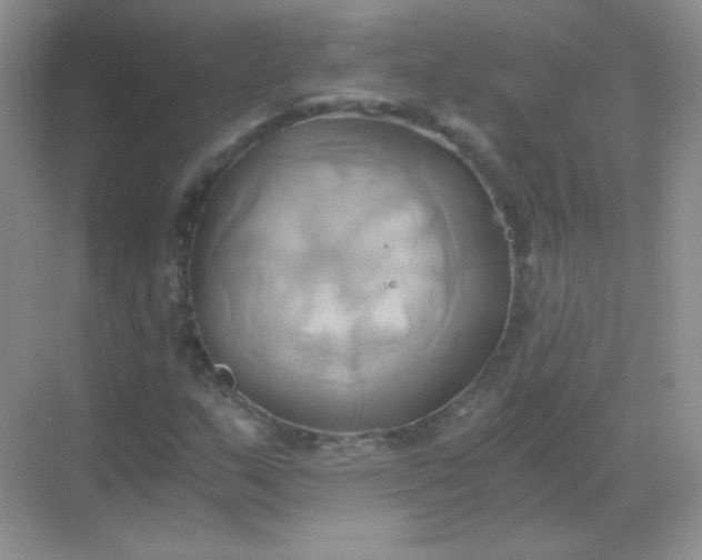 X0000068861159200605192010