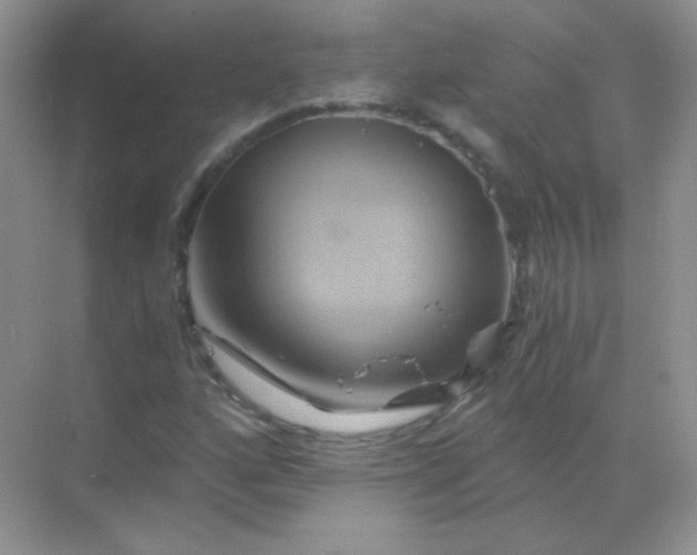 X0000068861160200605192010