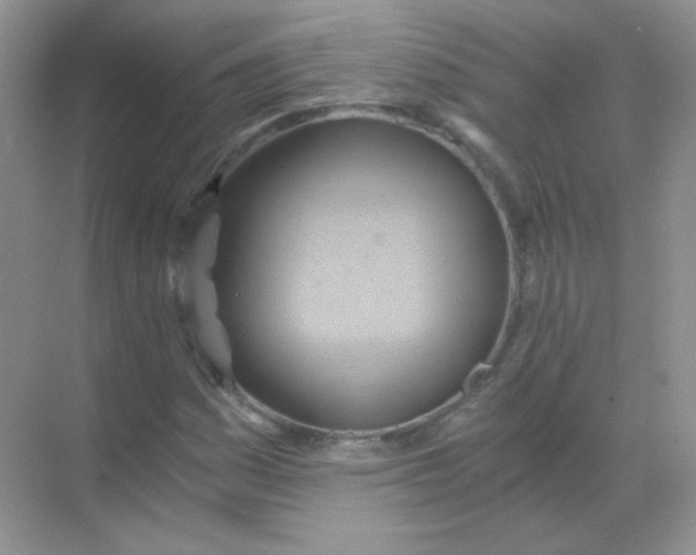 X0000068861161200605192010