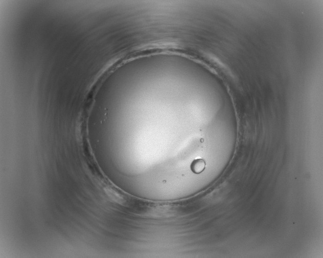 X0000068861162200605192010