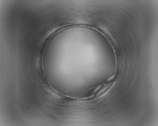 X0000068861163200605192010