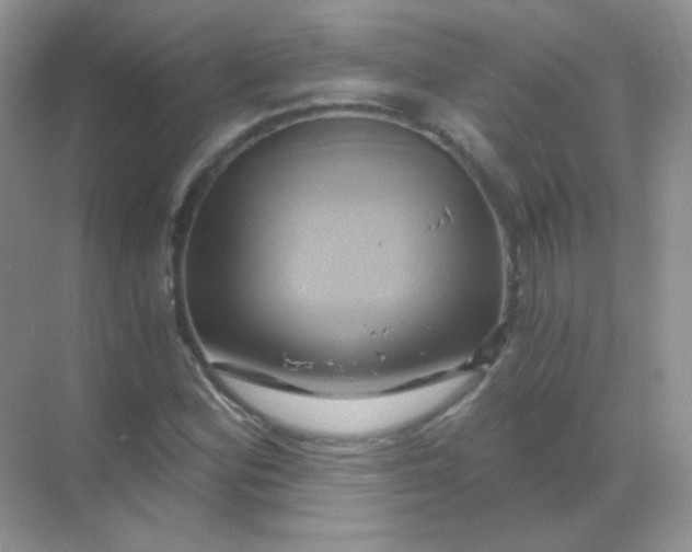 X0000068861164200605192010