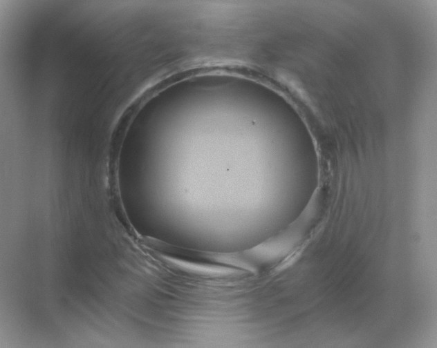 X0000068861165200605192010