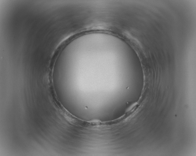 X0000068861166200605192009