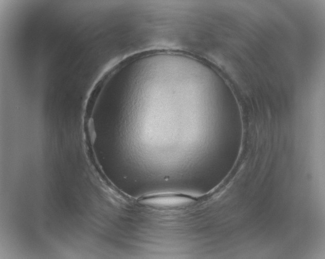 X0000068861168200605192009