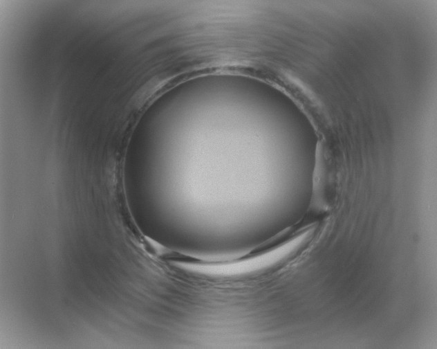 X0000068861169200605192009