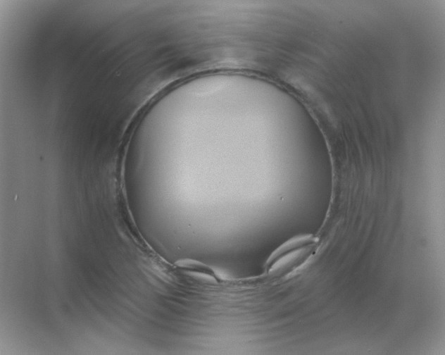 X0000068861170200605192009