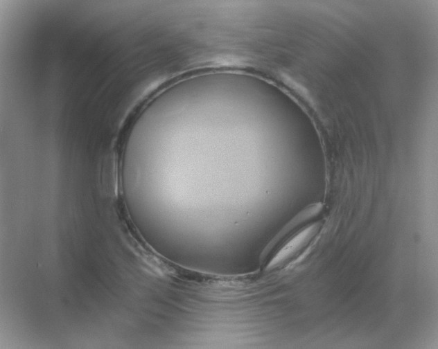 X0000068861171200605192009