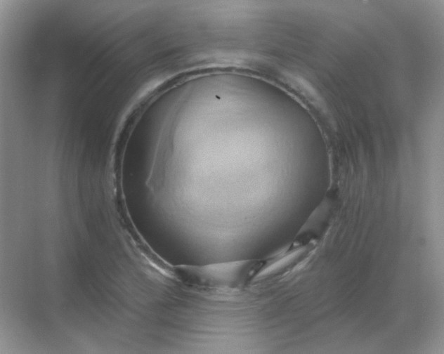 X0000068861172200605192009