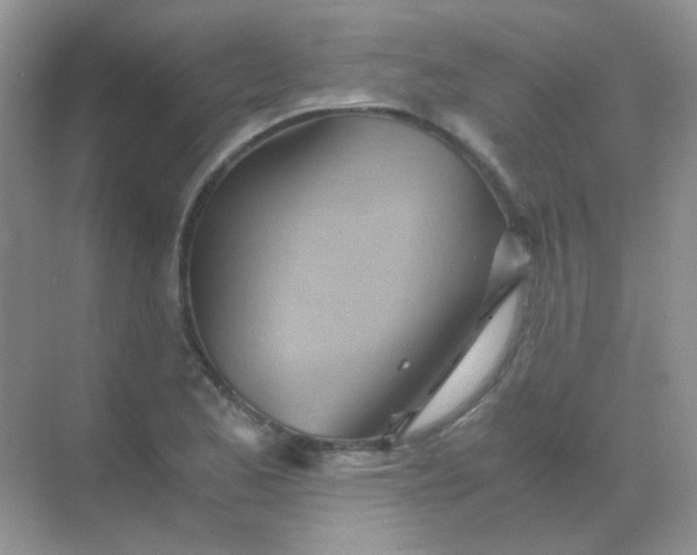 X0000068861173200605192009