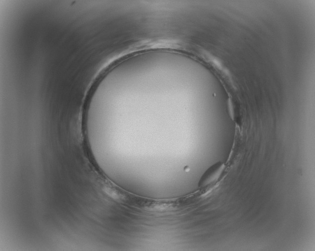 X0000068861174200605192009