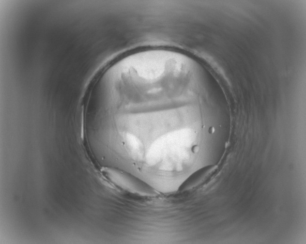 X0000068861175200605192009