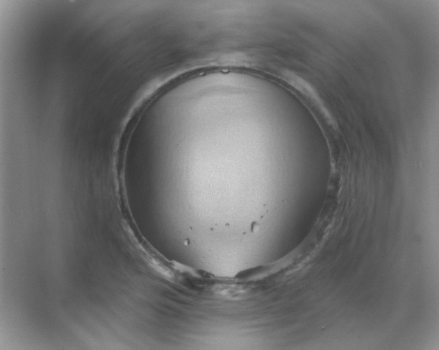 X0000068861176200605192009