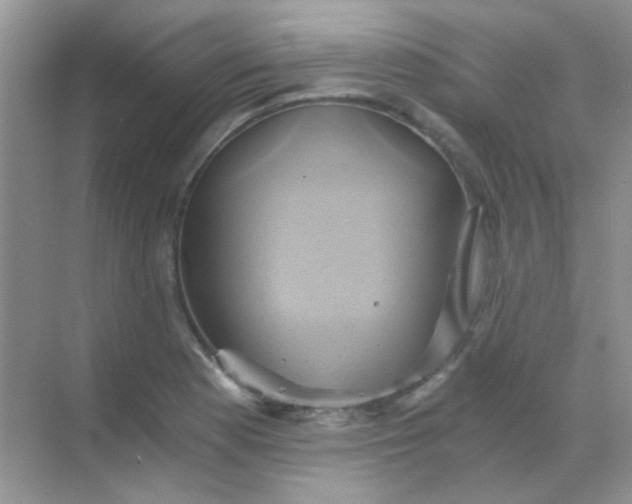 X0000068861177200605192009