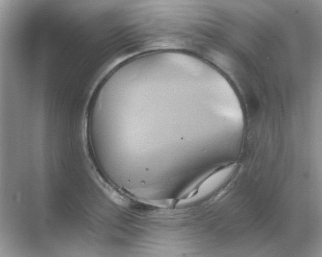 X0000068861179200605192009