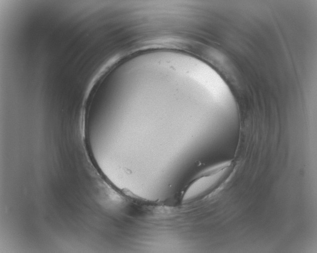 X0000068861180200605192009