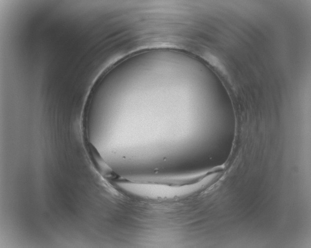 X0000068861181200605192009