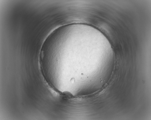 X0000068861182200605192009