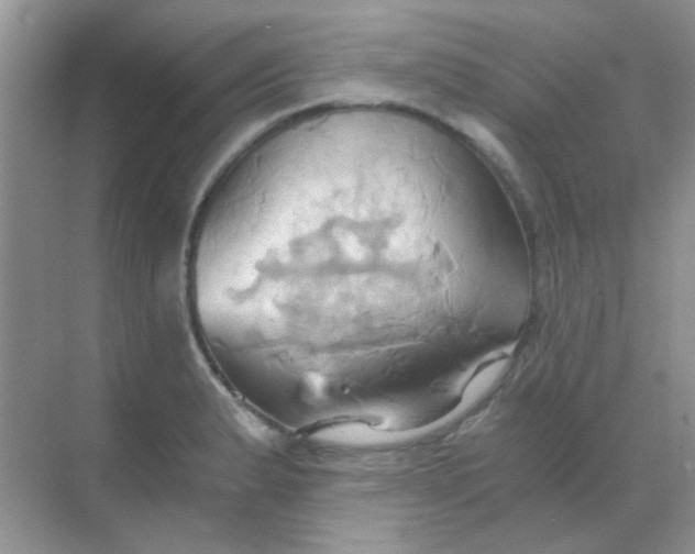 X0000068861183200605192009