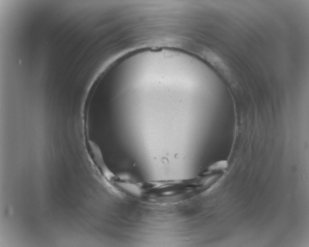 X0000068861184200605192009