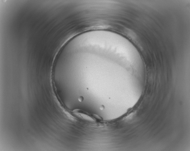 X0000068861186200605192009