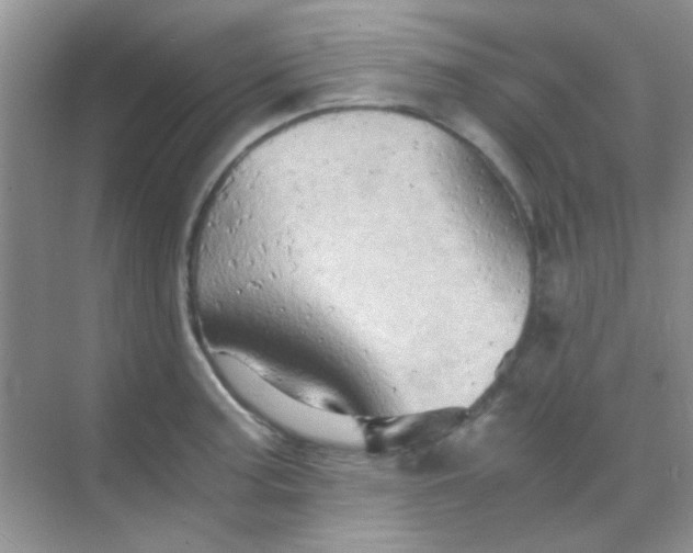 X0000068861187200605192009