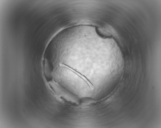 X0000068861190200605192009