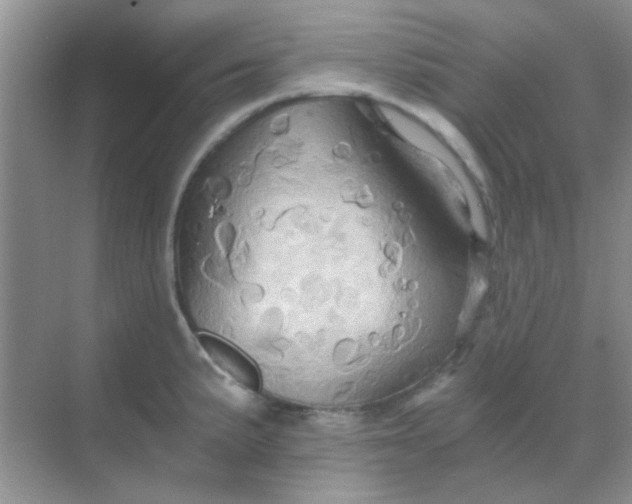 X0000068861191200605192009