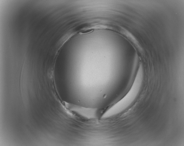 X0000068861193200605192009