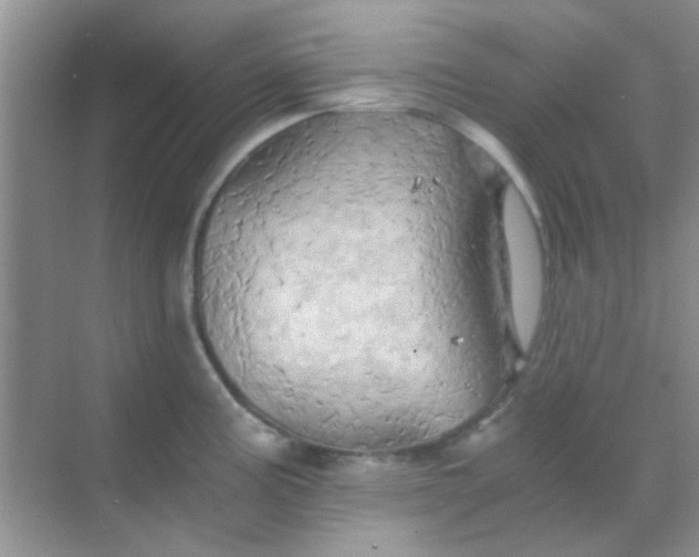 X0000068861195200605192009