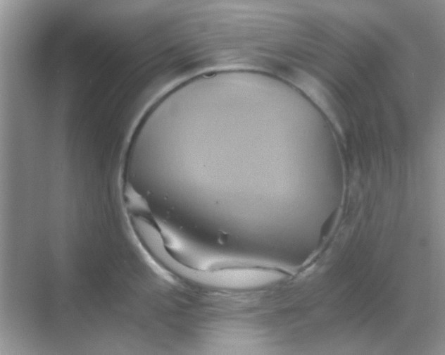 X0000068861197200605192009