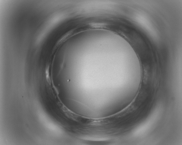 X0000068861198200605192009