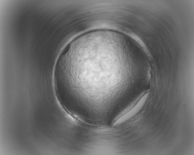 X0000068861199200605192009