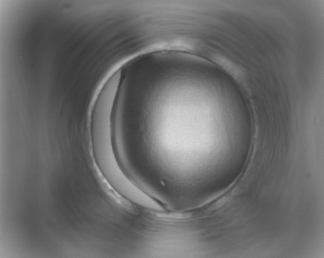 X0000068861200200605192009