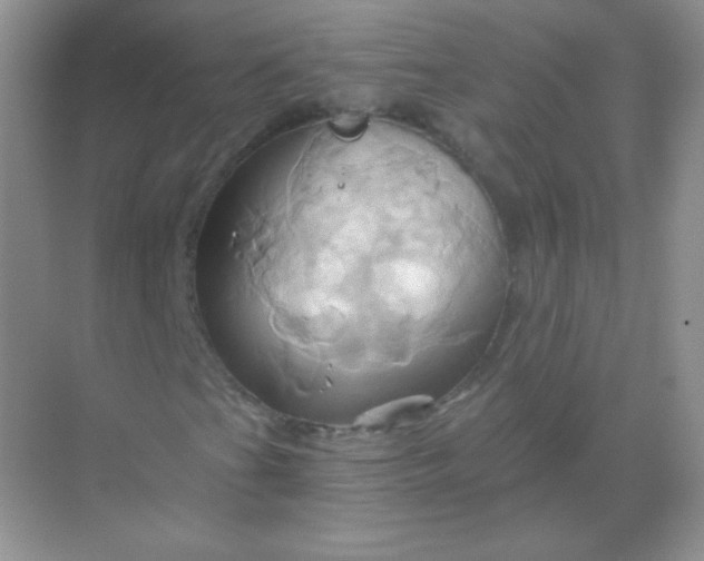 X0000068861201200605192008