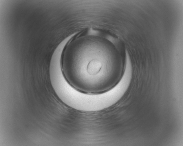 X0000068861202200605192008