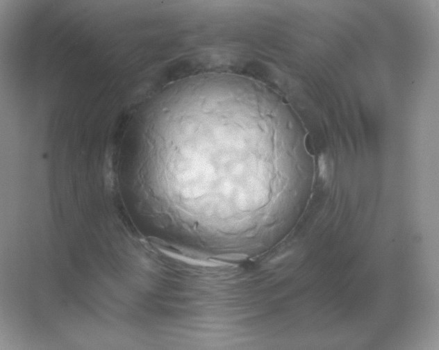 X0000068861203200605192008