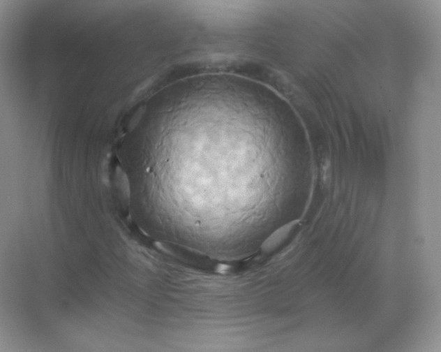 X0000068861204200605192008